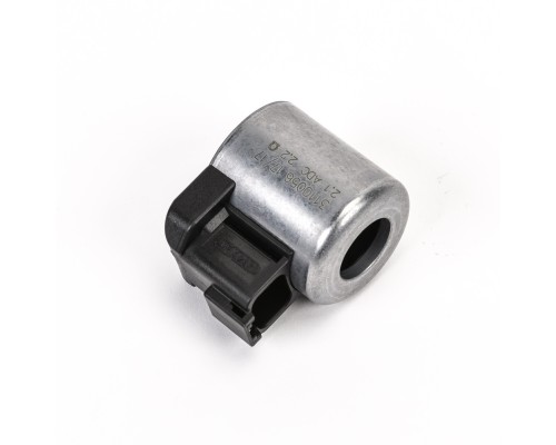 Solenoidas (729606)
